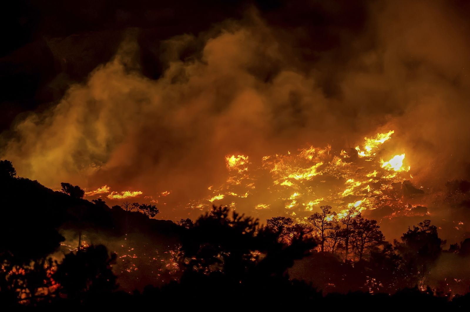 Ein Feuer brennt in der Gegend von Ahlia in der N&auml;he der Hafenstadt Ierapetra an der S&uuml;dk&uuml;ste der Insel Kreta, was laut Beh&ouml;rden die Evakuierung von D&ouml;rfern und Hotels in der Region zur Folge hatte.
 
STR/INTIME NEWS/AP/dpa
 