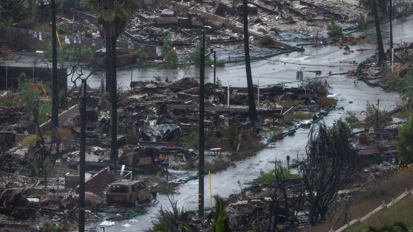 Rain comes down on the Palisades Fire zone on Saturday, Nov. 15, 2025, in the Pacific Palisades section of Los Angeles. (AP Photo/Ethan Swope)