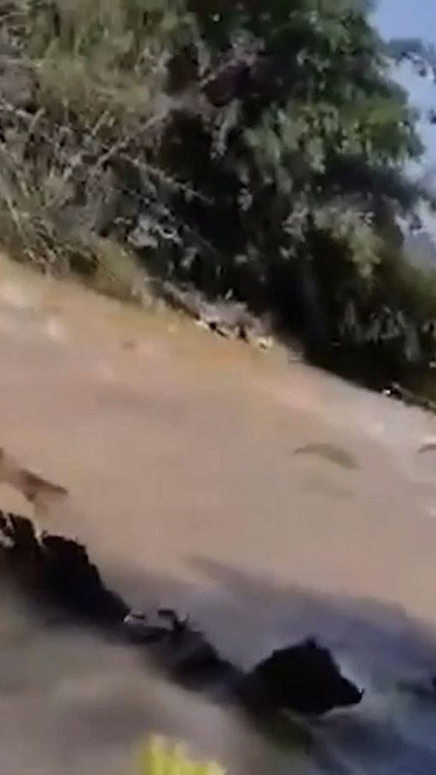 Nach Erdbeben In China Fische Flippen Vollkommen Aus Artikel Von The Weather Channel Weather Com