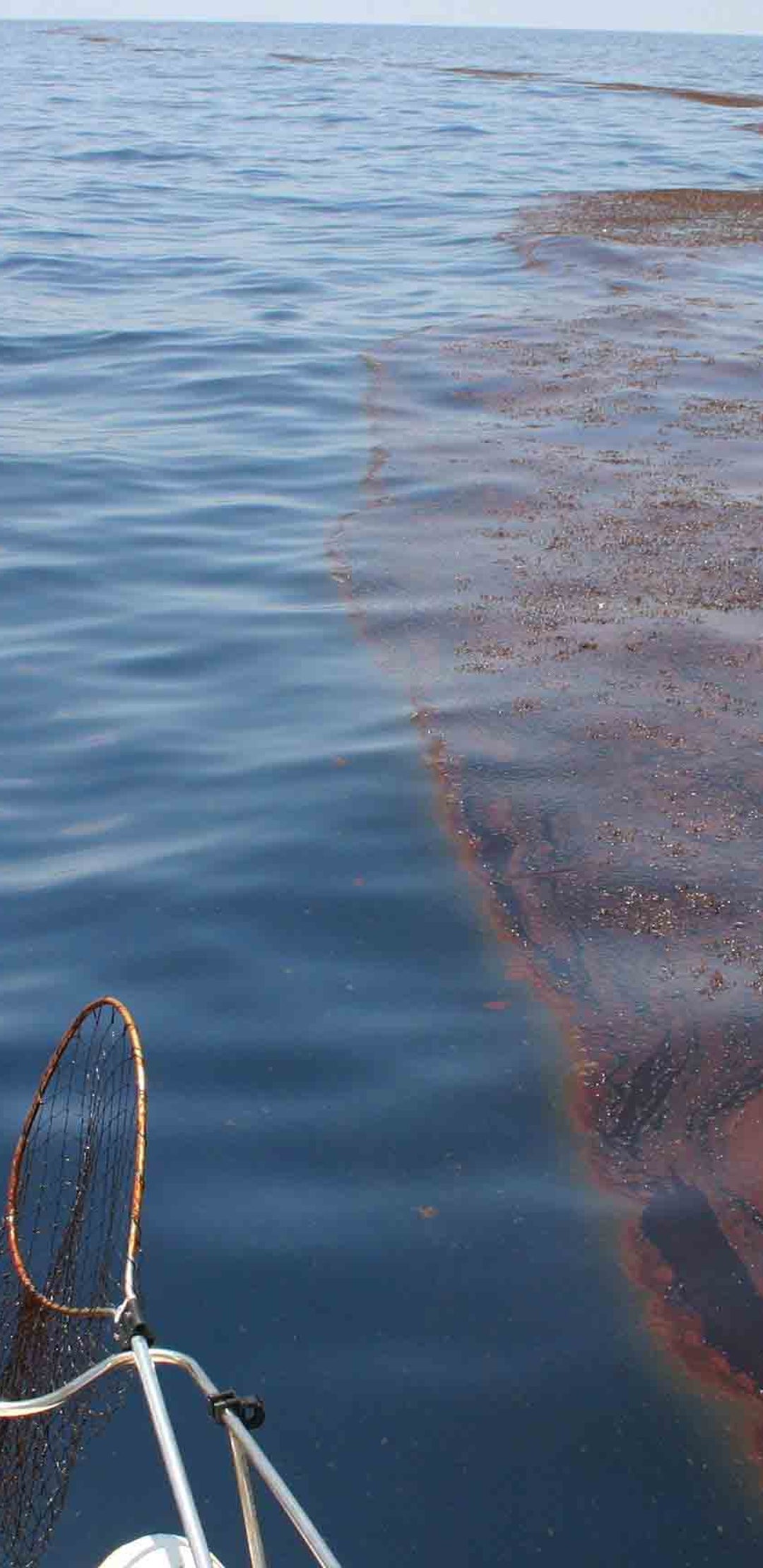 Invisible Oil From Deepwater Horizon Spread As Far As Texas And Key West New Study Says The Weather Channel Articles From The Weather Channel Weather Com Invisible Oil From Deepwater Horizon Spread As Far As Texas And Key West New Study Says The Weather Channel Articles From The Weather Channel Weather Com