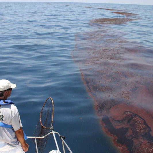 Invisible Oil From Deepwater Horizon Spread As Far As Texas And Key West New Study Says The Weather Channel Articles From The Weather Channel Weather Com Invisible Oil From Deepwater Horizon Spread As Far As Texas And Key West New Study Says The Weather Channel Articles From The Weather Channel Weather Com