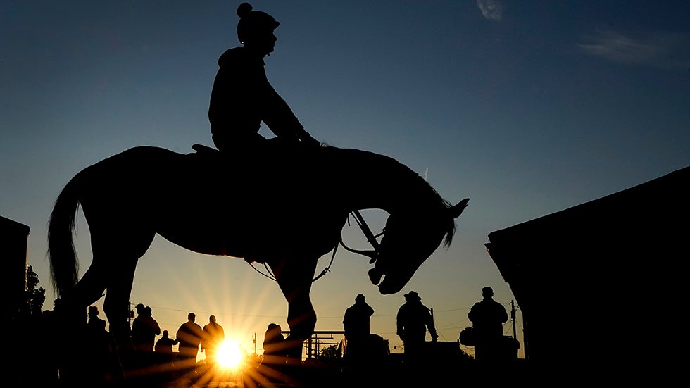 A horse comes off the track after a workout as the sun rises at Churchill Downs Wednesday, May 3, 2023, in Louisville, Ky. The 149th running of the Kentucky Derby is scheduled for Saturday, May 6. (AP Photo/Charlie Riedel)