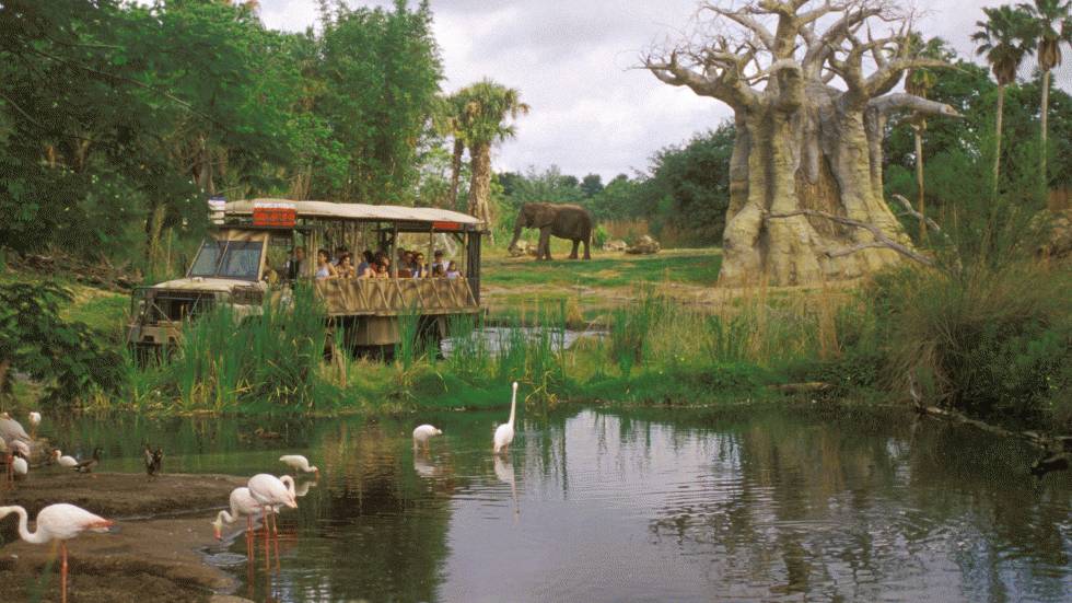 Top 10 Most-Visited Theme Parks | The Weather Channel - Articles from