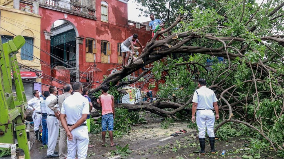 Downed tree and power lines in Kolkata after TC Amphan, 5/21/20