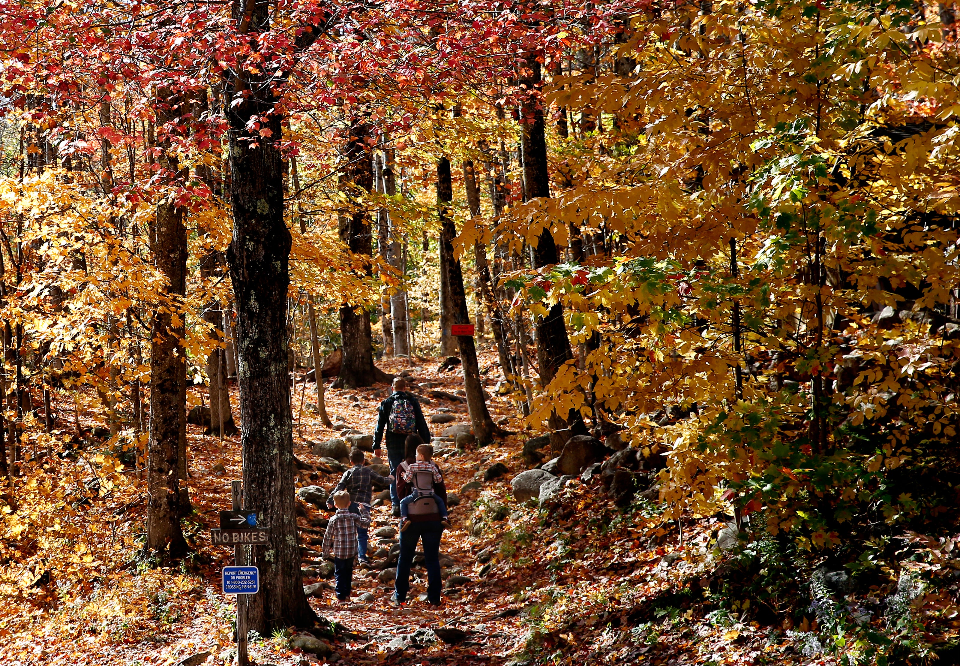 BARTLETT, NH - OCTOBER 1:  A family makes their way onto the trailhead as they start their hike to Arethusa Falls in Bartlett, NH on Oct. 1, 2020. (Photo by Jessica Rinaldi/The Boston Globe via Getty Images)