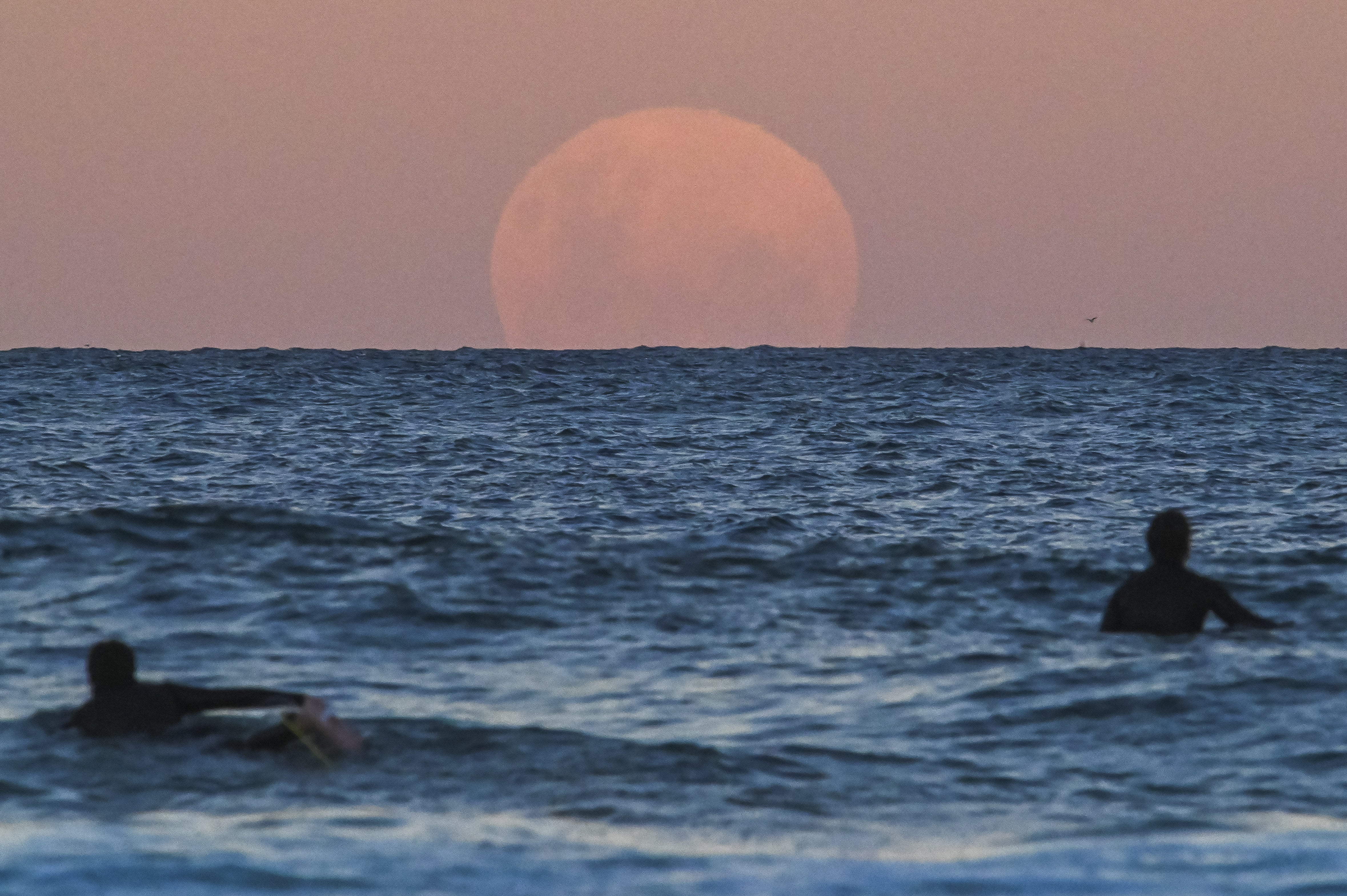 May Moon Magic Spectacular Photos Of Total Lunar Eclipse And Flower Moon From India And Around The World Photos The Weather Channel