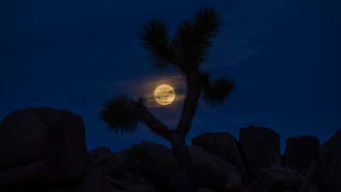 May Moon Magic Spectacular Photos Of Total Lunar Eclipse And Flower Moon From India And Around The World Photos The Weather Channel May Moon Magic Spectacular Photos Of Total Lunar Eclipse And Flower Moon From India And Around The World Photos The Weather Channel