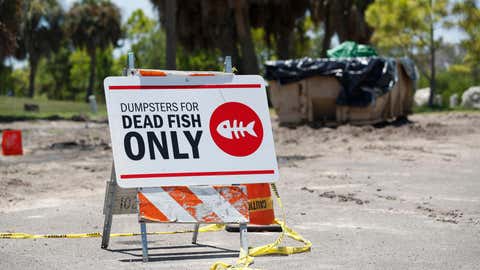 ST PETERSBURG, FL - JULY 21: A sign is posted for depositing dead marine life from the Red Tide bacteria into dumpsters, is seen at Maximo Park on July 21, 2021 in St Petersburg, Florida. Red tide, which is formed by a type of bacteria, has killed several tons of marine life in Florida so far this year.  (Photo by Octavio Jones/Getty Images)