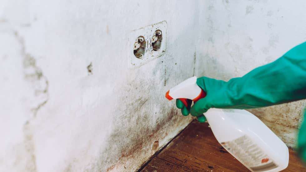 How Humidity Affects Allergies | Weather.com