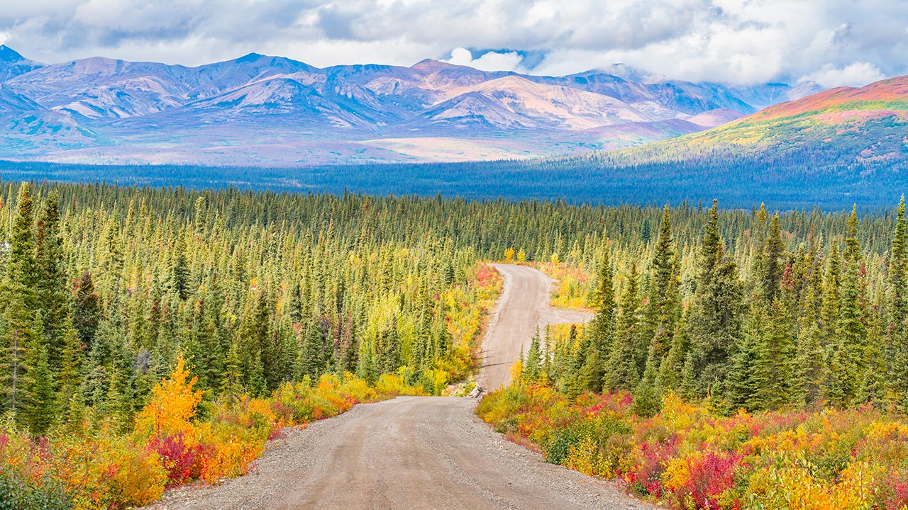 Denali National Park offers gorgeous fall views as well as plenty of wildlife to observe in late August and September. (Getty Images)