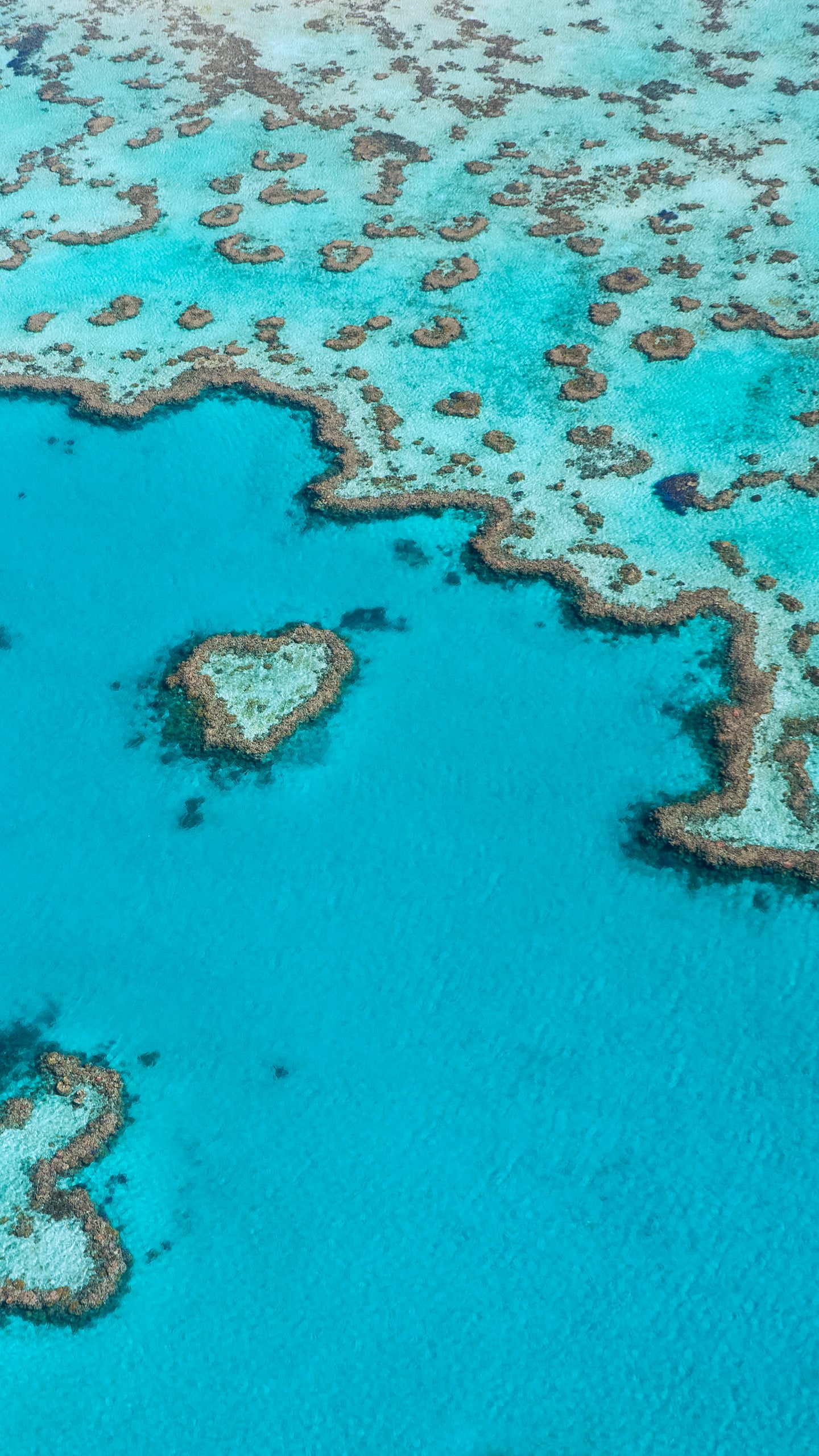 The Heart Of The Great Barrier Reef The Weather Channel The Heart Of The Great Barrier Reef The Weather Channel