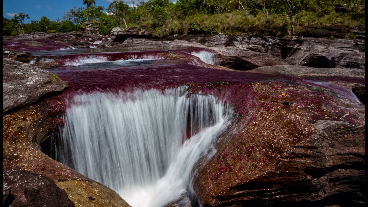 The Rio Cano Cristales in Colombia is sometimes referred to as 'The Liquid Rainbow' because of the impressive variety of colors that can be seen in it. Some of the colors, especially the bright reds, are caused by Macarenia clavigera growing at the bottom of the river. (Filippo Manaresi/Getty Images)
