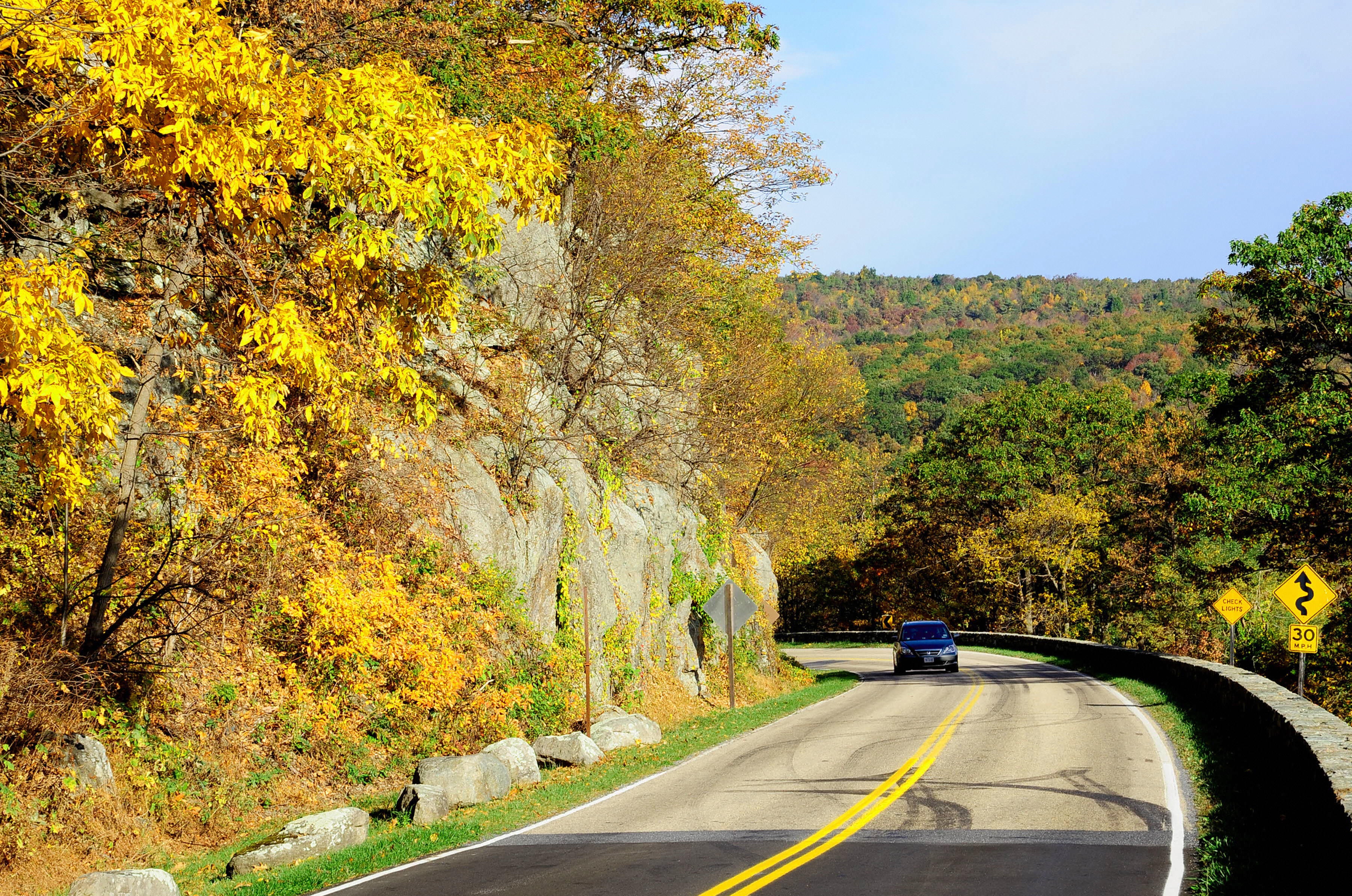 Tourists drive October 18, 2008 on Skyline Drive in Shenandoah Park, Virginia. The red and gold leaves in the Blue Ridge Mountains are drawing hundreds of people to the scenic drive. AFP PHOTO/Karen BLEIER (Photo credit should read KAREN BLEIER/AFP via Getty Images)