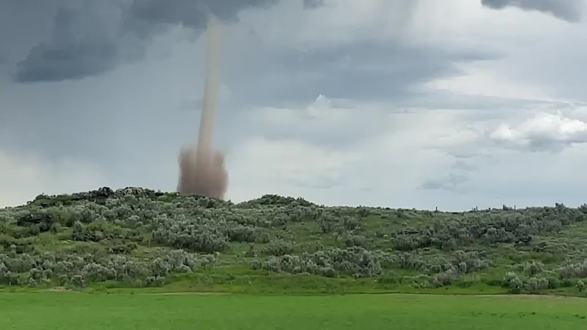 Fornado ギター かっこよ