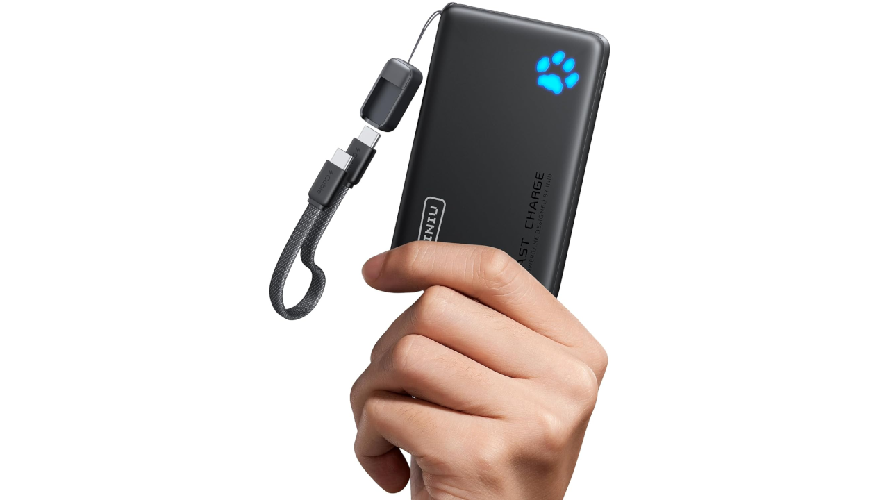INUI Portable Charger