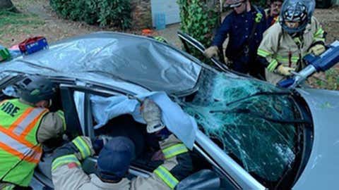 A vehicle’s roof was crushed in Irmo, South Carolina, when a tree fell on it about 4 p.m. Thursday, September 29, 2022, because of high winds from Hurricane Ian, according to the Irmo Fire District. (Facebook/Irmo Fire District)