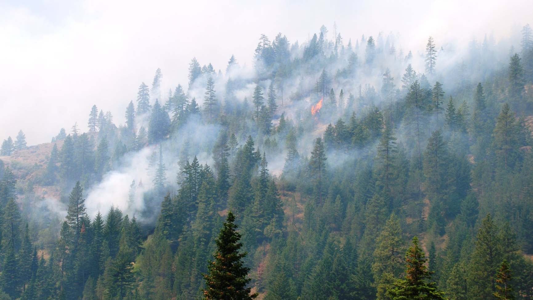 Western Wildfires Rage 22 Homes Evacuated in Fire Near Mt. Rainier