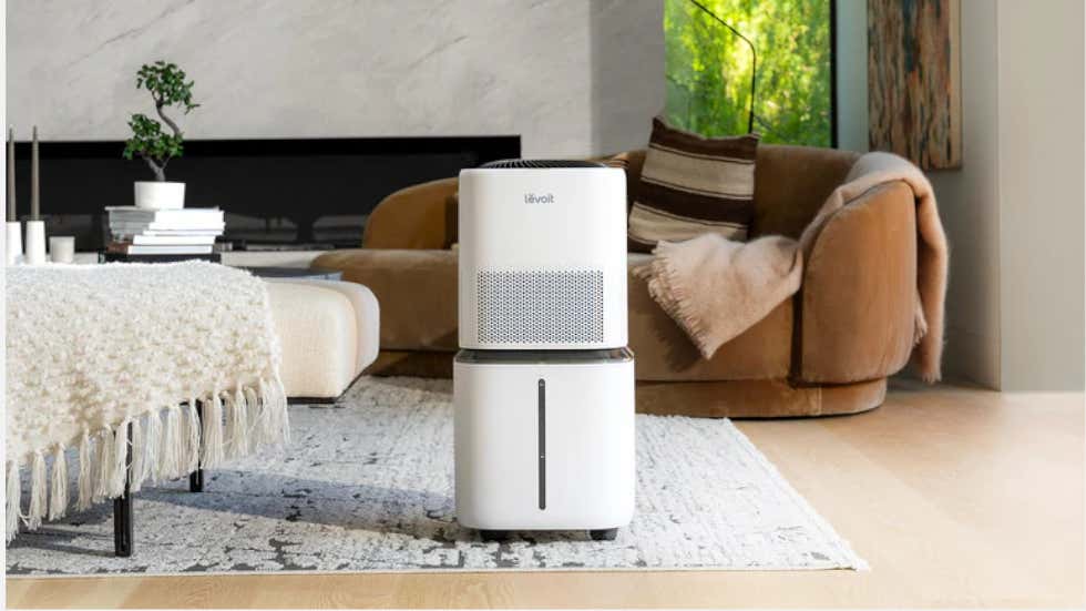 Humidifiers Guide: How It Works, Our Top Picks | Weather.com