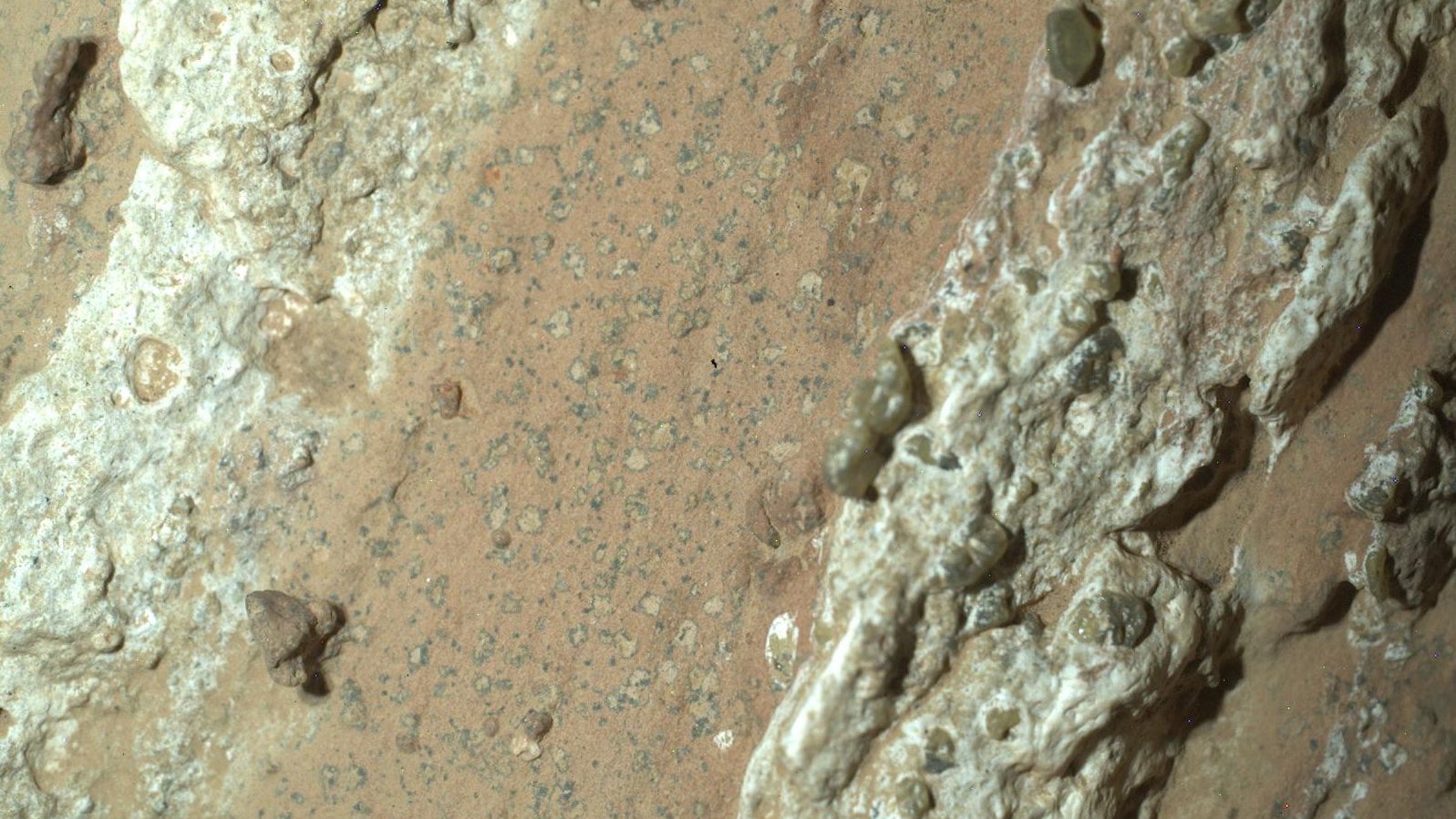 NASA's Perseverance rover discovered leopard spots on a reddish rock in Mars' Jezero Crater in July 2024. Scientists think the spots may indicate that, billions of years ago, the chemical reactions in the rock could have supported microbial life. 