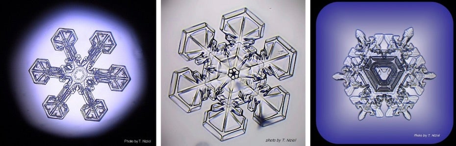 Examples of three different snow crystals, photographed under a microscope