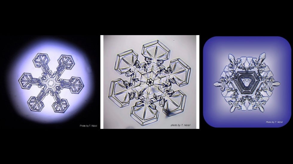 Examples of three different snow crystals, photographed under a microscope