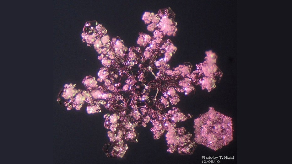 Photo of a snow crystal that has been rimed by dozens of supercooled water droplets