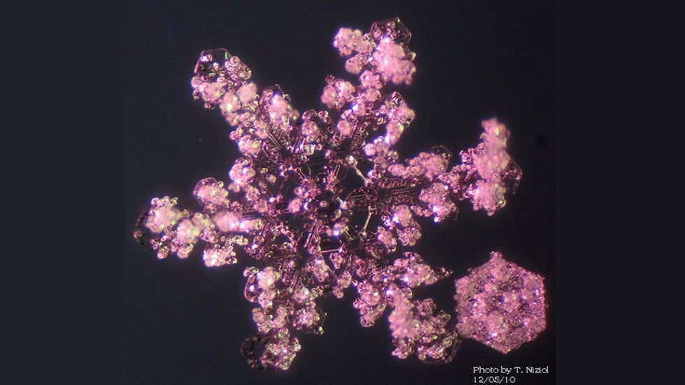 Photo of a snow crystal that has been rimed by dozens of supercooled water droplets