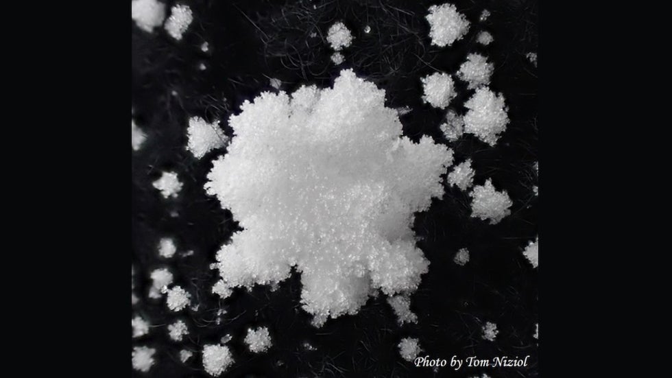 A heavily rimed hexagonal snow crystal,