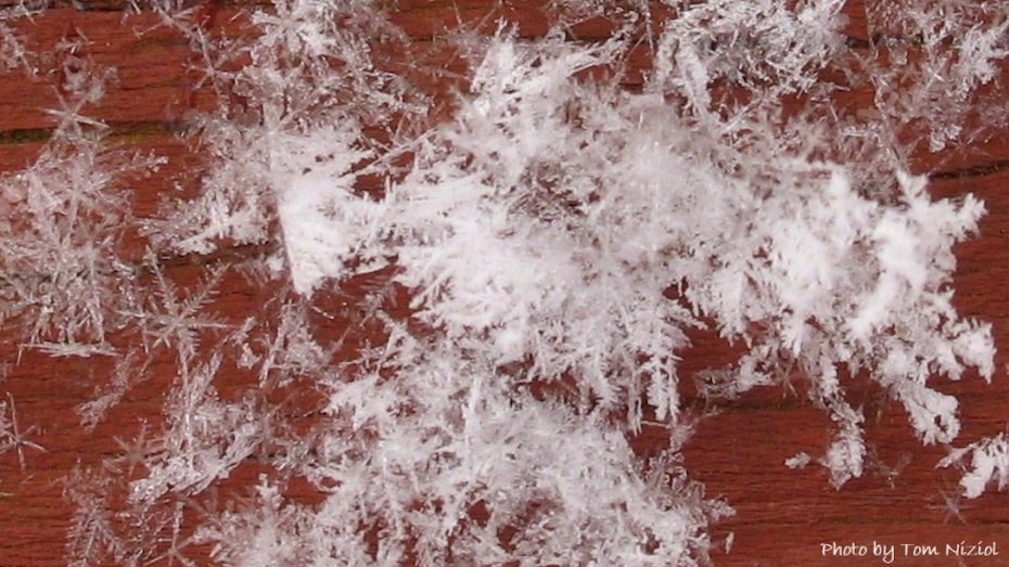 Large snowflake that fell onto a wooden deck and broke apart