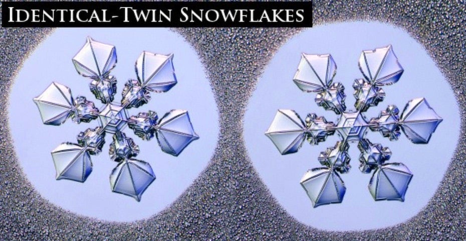 Twin snow crystals made in the laboratory setting under prescribed conditions