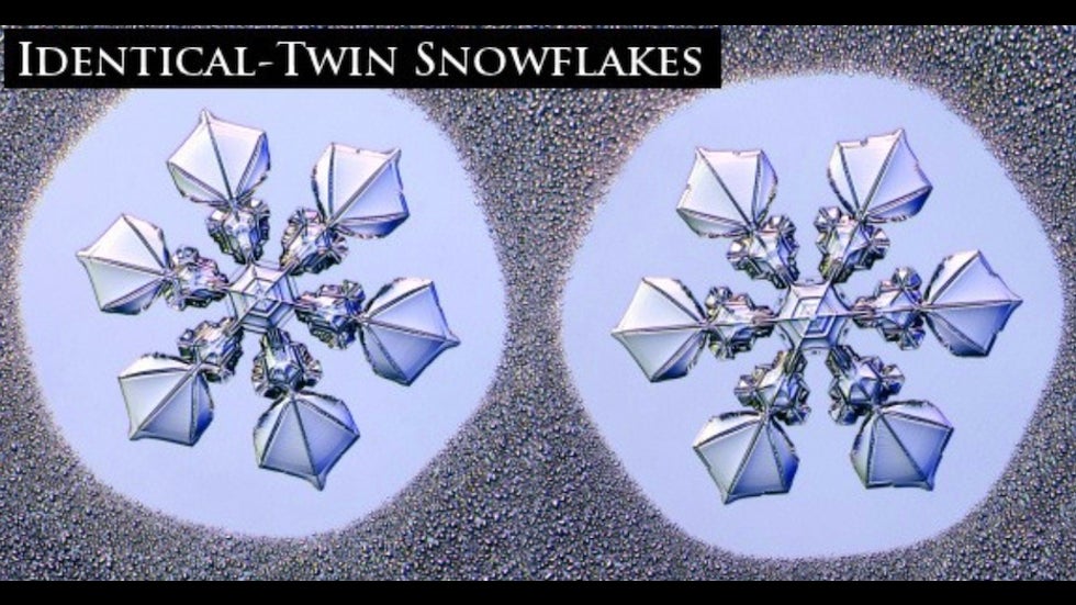 Twin snow crystals made in the laboratory setting under prescribed conditions