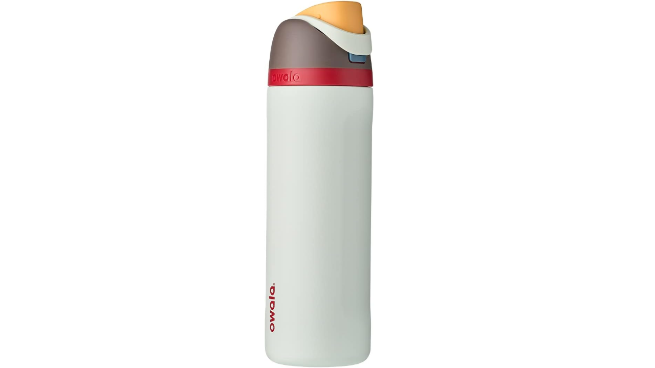 Owala FreeSip Insulated Stainless Steel Water Bottle
