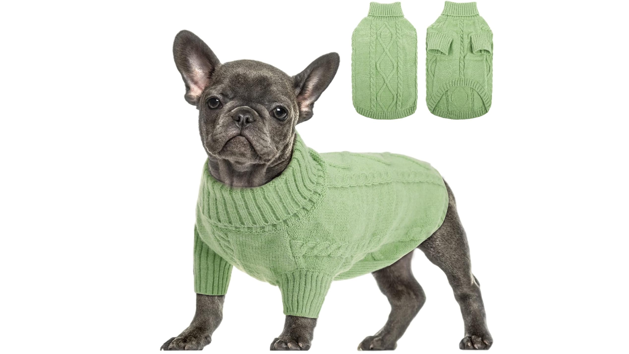 Queenmore Small Dog Pullover Sweater