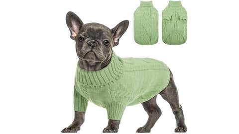 Queenmore Small Dog Pullover Sweater