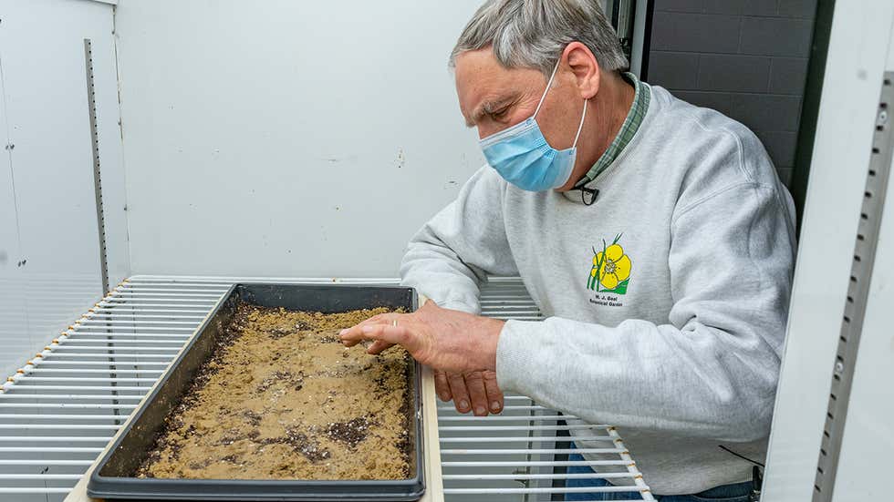 От средневековья до наших дней. Самые длительные эксперименты в истории человечества