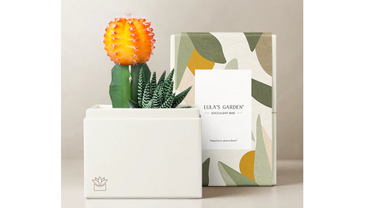 Lula&rsquo;s Garden Lux Garden