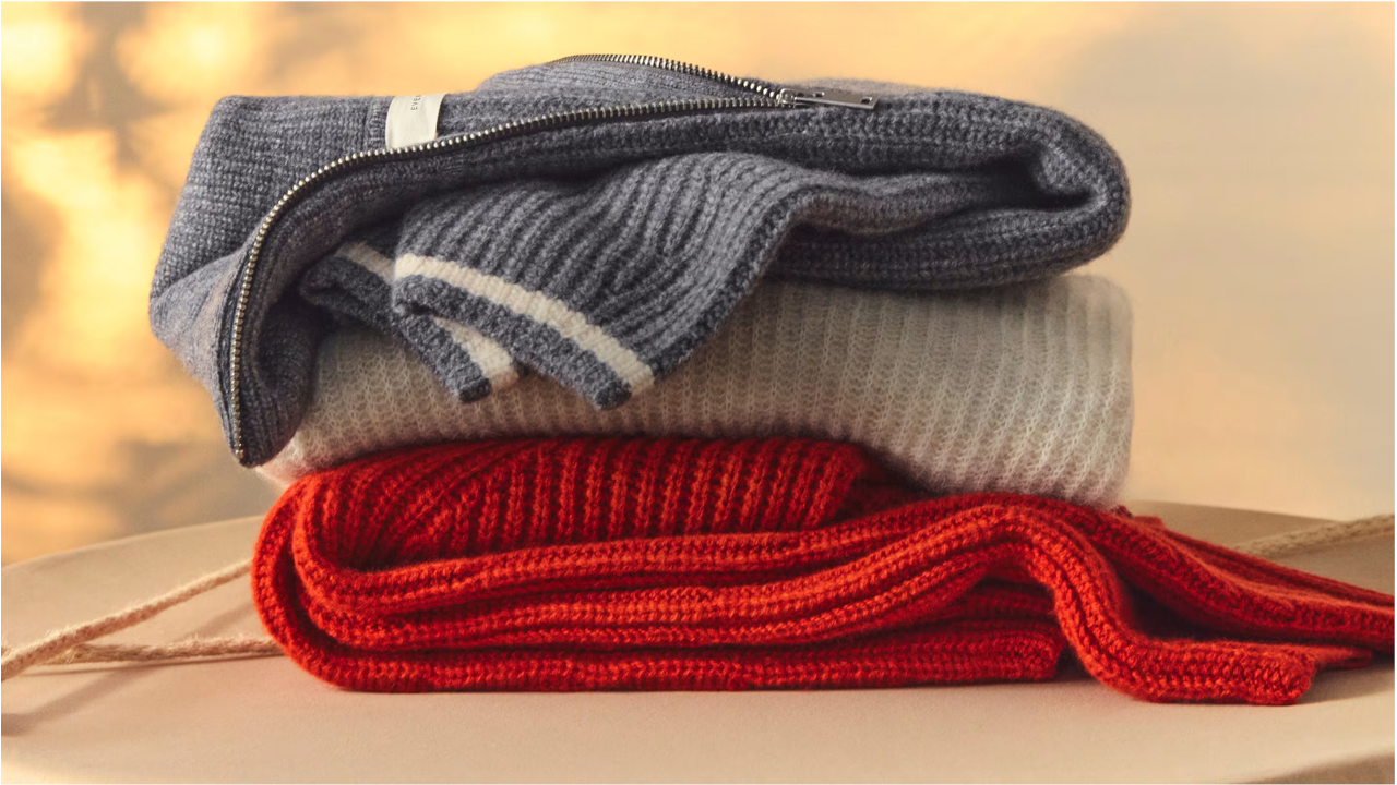 Everlane Sweaters Winter Apparel