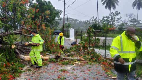 Workers remove a tree felled by Tropical Storm Isaias in Trujillo Alto, Puerto Rico, on Thursday, July 30, 2020. (Facebook/Municipality of Trujillo Alto) 