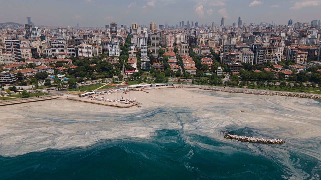 'Sea Snot' Blankets Turkey's Sea of Marmara, Threatening ...