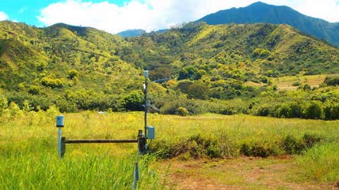 The 49.7 inches of rain was recorded at the Waipa Garden station on the island of Kauai. (Waipa Foundation via NCEC)