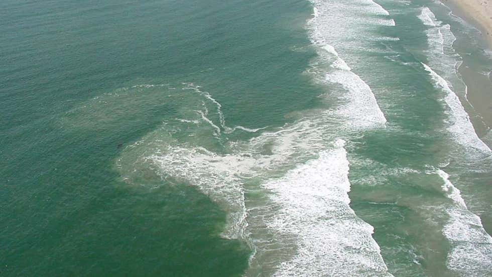 More Than 125 Rescued from Rip Currents along Florida Panhandle ...