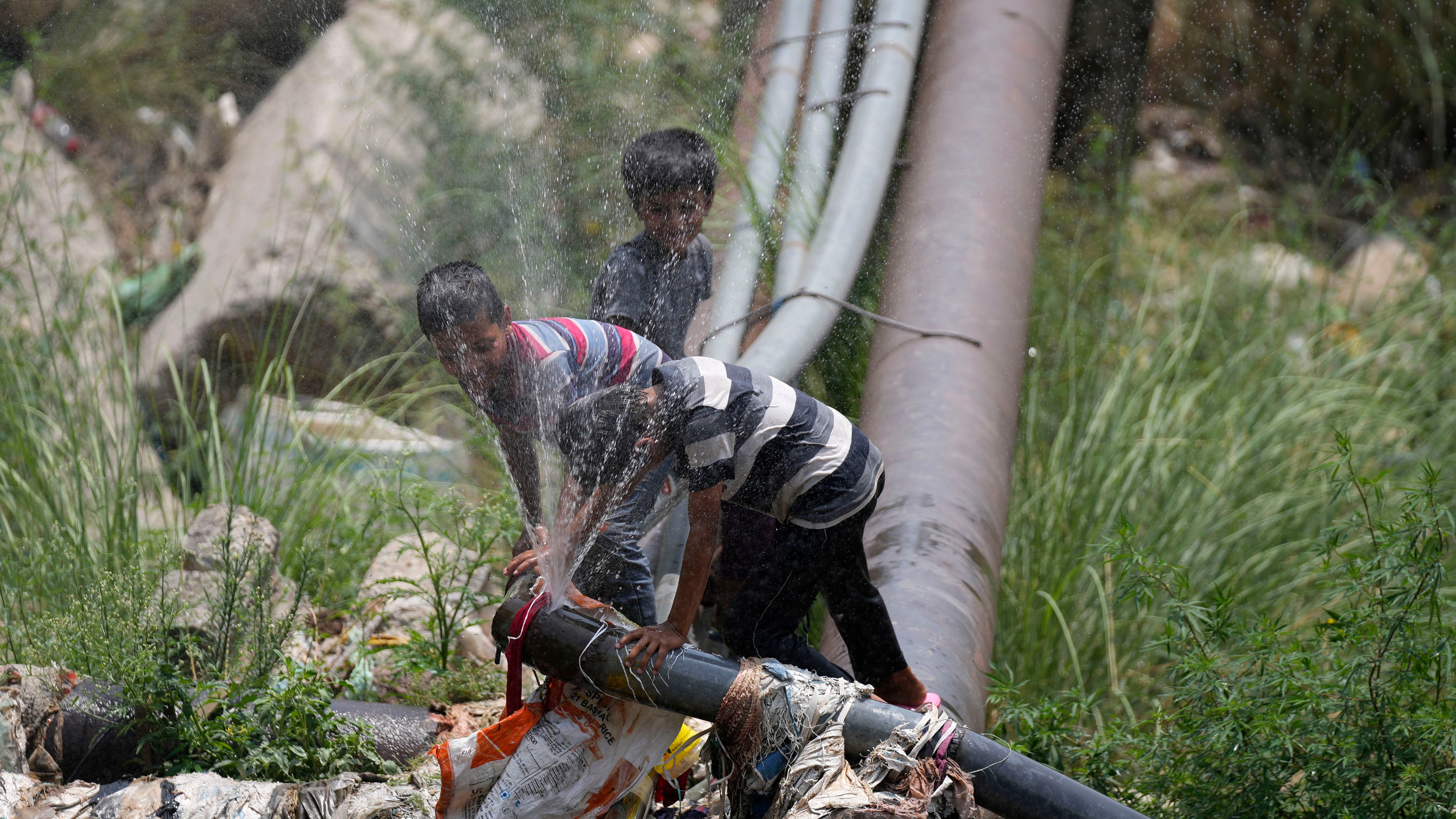 Cool cool themselves in water leaking from a pipe on the outskirts of Jammu, India, Wednesday, May 11, 2022. (AP Photo/Channi Anand)