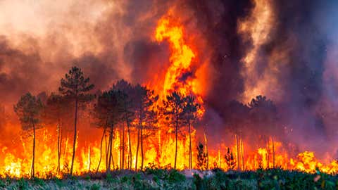 Dieses von der Feuerwehr der Region Gironde (SDIS 33) bereitgestellte Foto zeigt einen Waldbrand in der Nähe von Landiras im Südwesten Frankreichs am Sonntag, den 17. Juli 2022. Feuerwehrleute kämpften am Sonntag in Frankreich und Spanien gegen außer Kontrolle geratene Waldbrände, als Europa unter einer ungewöhnlich extremen Hitzewelle verwelkte, die die Behörden in Madrid für Hunderte von Todesfällen verantwortlich machten. (SDIS 33 über AP)