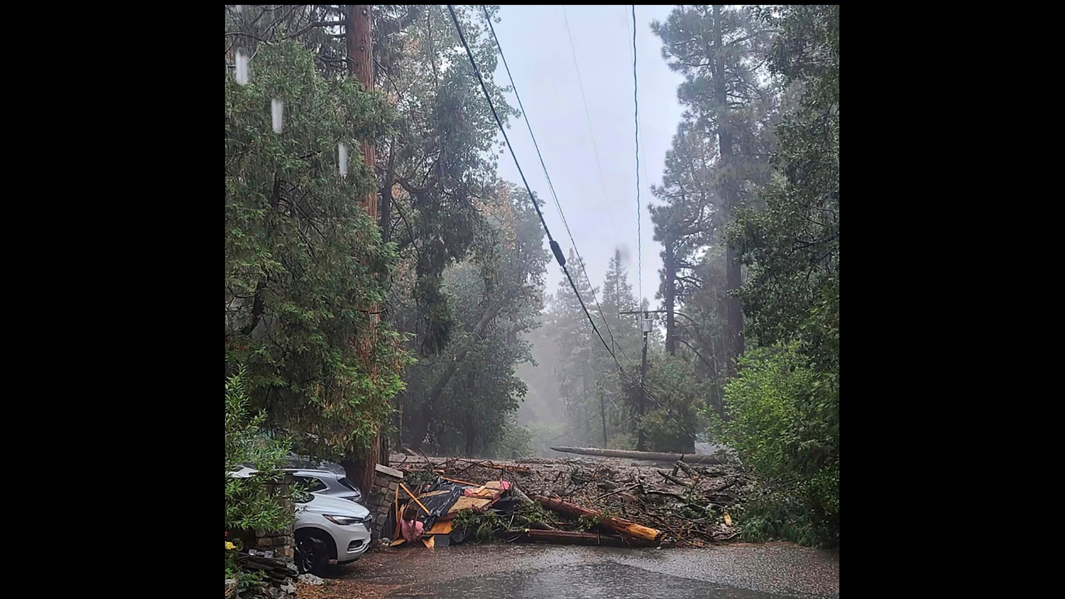 In this photo released by the San Bernardino County Fire Department, a fallen tree and other debris blocks a road in Forest Falls after a mudslide in San Bernardino County, Calif., on Monday, Sept. 12, 2022.  (San Bernardino County Fire Department via AP)