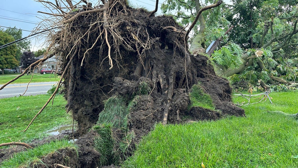 A tree is uprooted outside a home on Friday, Aug. 25, 2023, in Canton Township, Mich. A strong storm powered by winds of up to 75 mph in Michigan downed trees, tore roofs off buildings and left hundreds of thousands of customers without power. (AP Photo/Mike Householder)