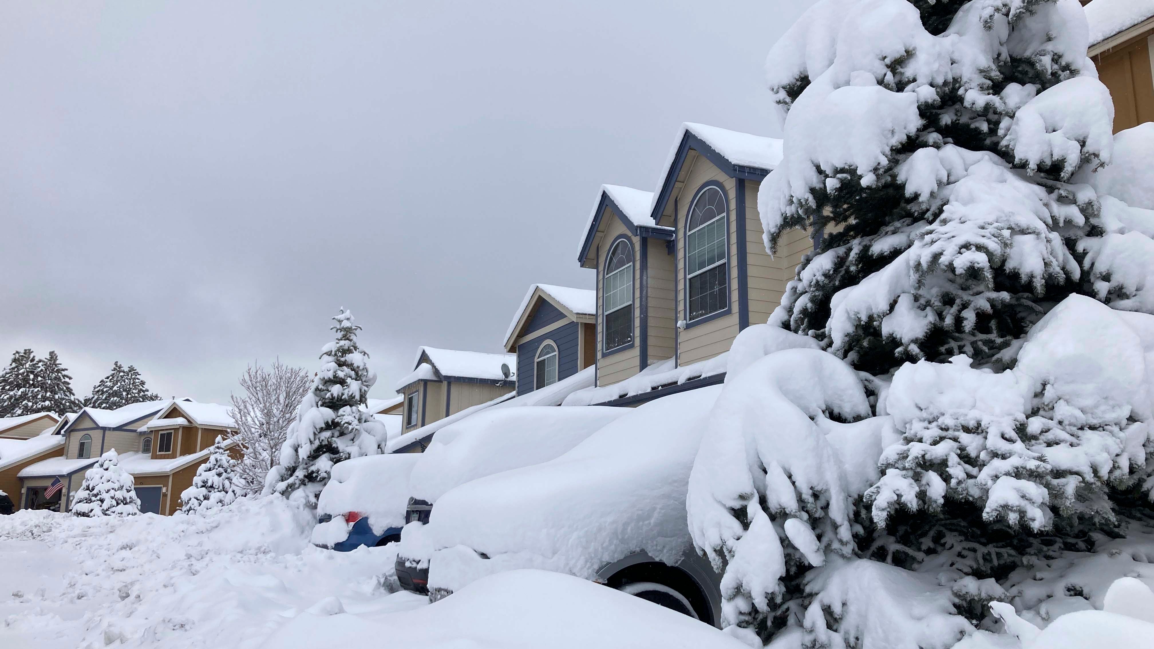 Vehicles in a neighborhood in Bellemont, Ariz., are covered in snow, Wednesday, Feb. 7, 2024. Parts of northern Arizona stretching southeast toward New Mexico were under a winter storm warning through Wednesday evening.(AP Photo/Felicia Fonseca)