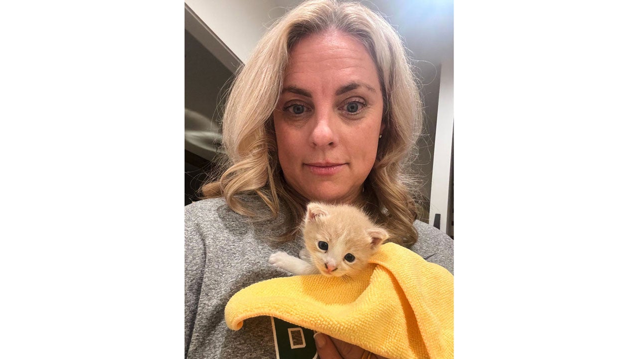 In this image provided by Nicki Collen, the Baylor coach holds a kitten she named Sailor that she found behind a panel inside the wheel well of her car Saturday, Nov. 8, 2025, in Waco, Texas. (Nicki Collen via AP)