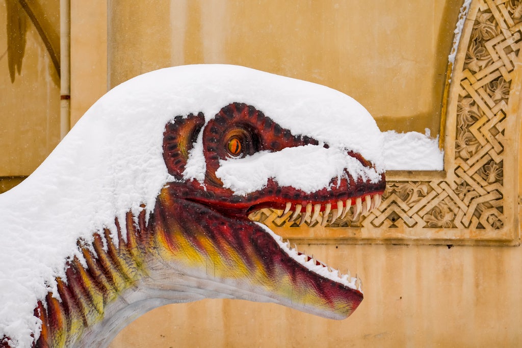 Snow covers an animated model of a dinosaur outside the National Geologic Museum in Bucharest, Romania, Wednesday, Feb. 18, 2026. (AP Photo/Vadim Ghirda)