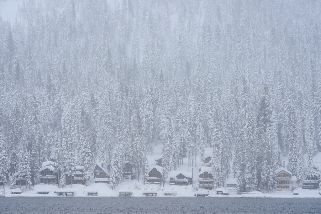 Snow comes down on a forest and cabins along Donner Lake during a storm Thursday, Feb. 19, 2026, near Truckee, Calif. (AP Photo/Godofredo A. V&aacute;squez)