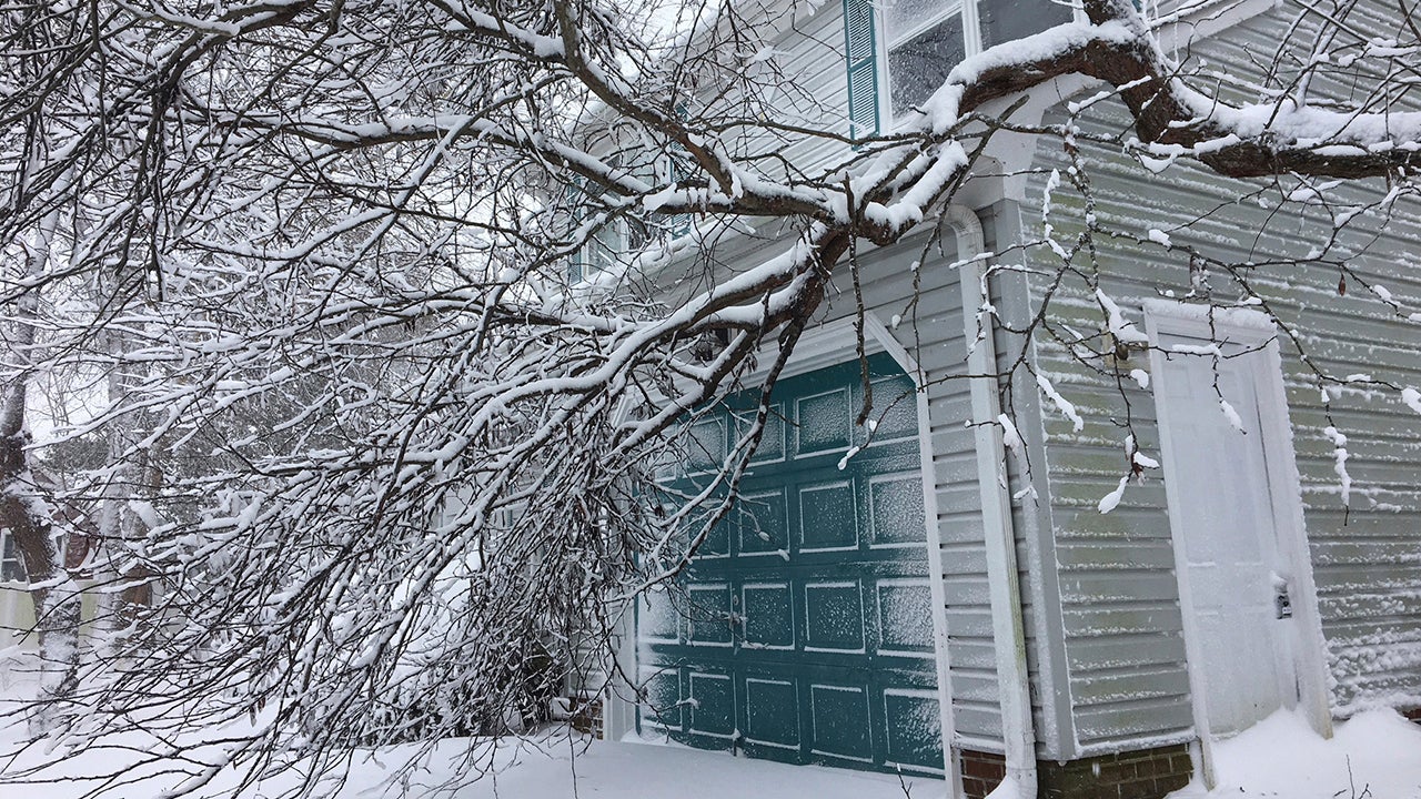 Limbs laden with ice and snow like this one in the Chic's Beach neighborhood of Virginia Beach are causing minor damage to homes Thursday, Jan. 4, 2018 in Virginia Beach, Va. Virginia has been socked by a powerful winter blast of snow and cold that&rsquo;s seldom seen along its coast. (Steve Earley/The Virginian-Pilot via AP)